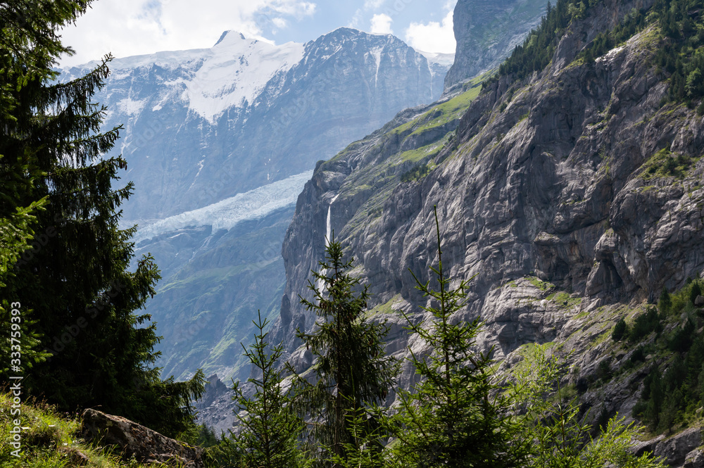 Obraz premium Grindelwald alps Swiss