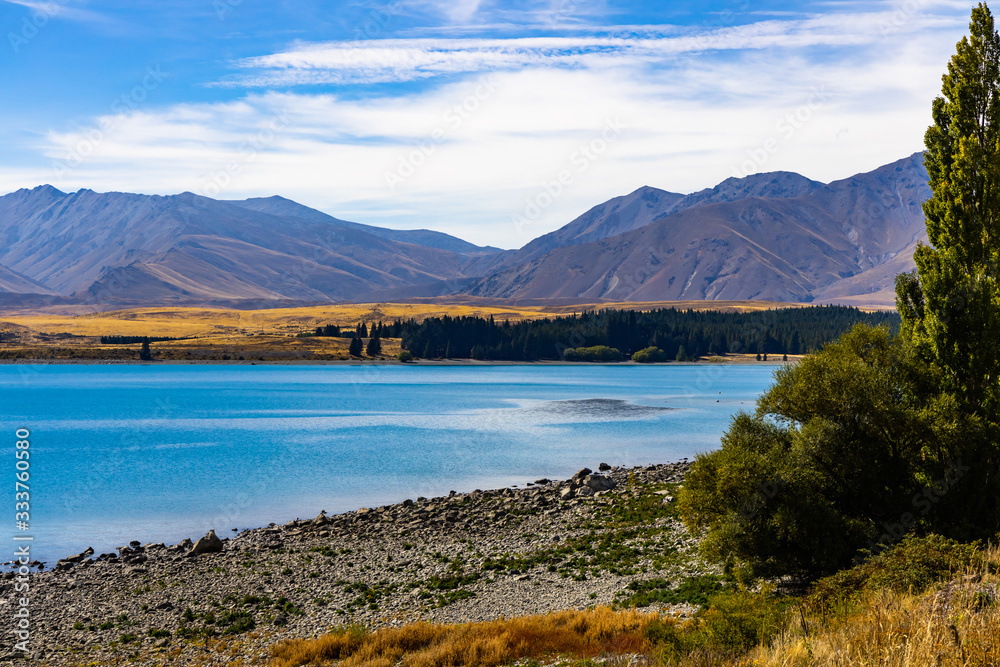 calm lake in New Zealand