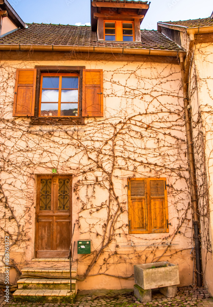 Fototapeta premium scenes from alsace