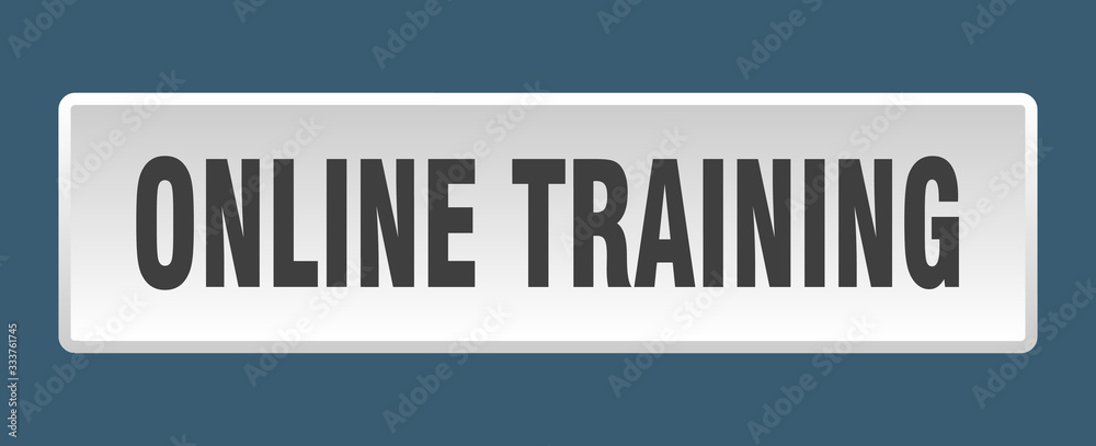 online training button. online training square white push button