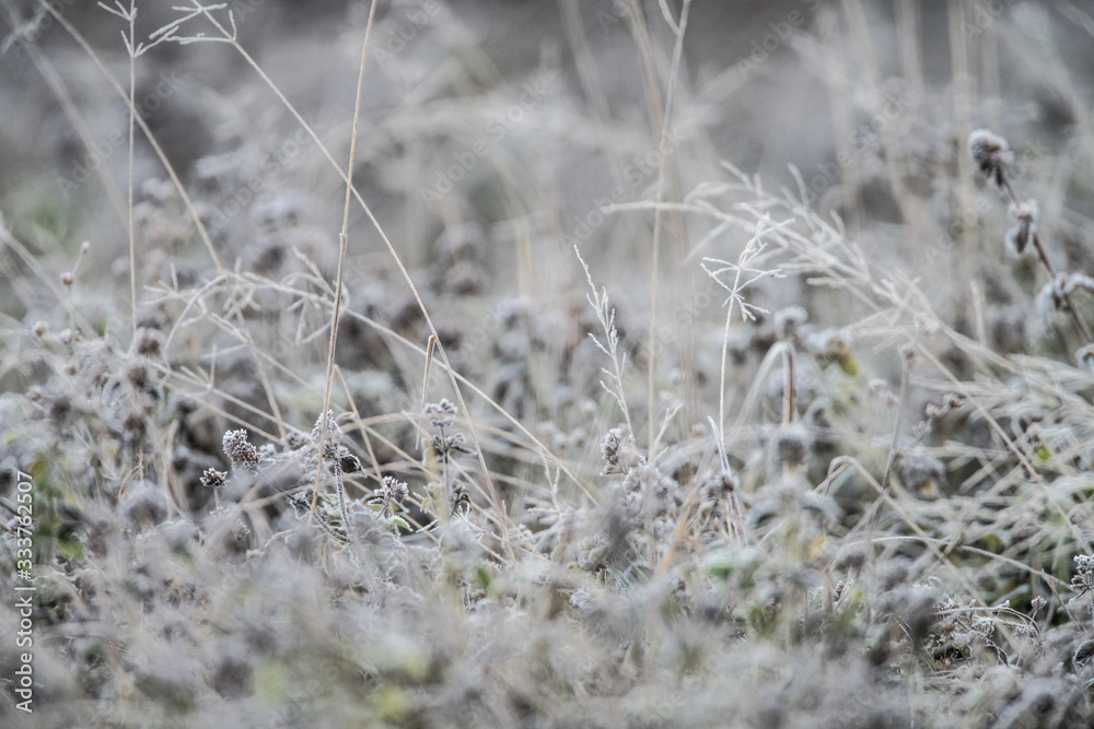 Fototapeta premium Saint Helene le lac
