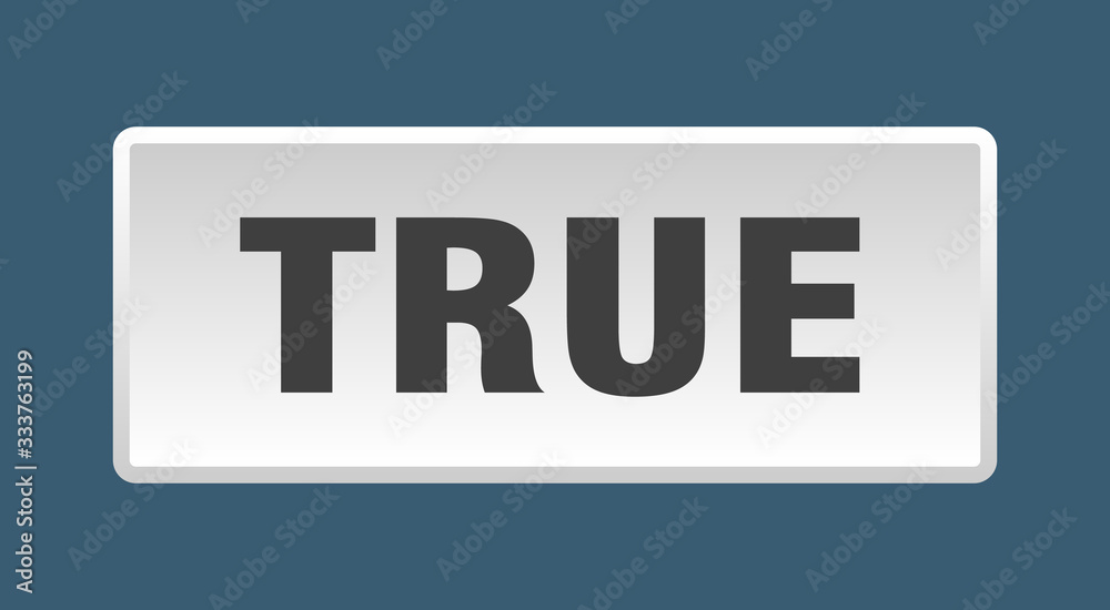 true button. true square white push button true button. true square white push button
