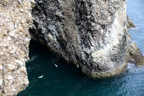 Crawton Bay (Scotland), UK - August 01, 2018: Cliff view at Crawton Bay, Scotland, Highlands, United Kingdom photo