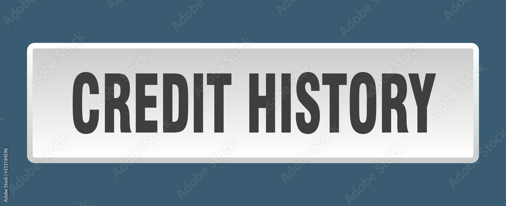 credit history button. credit history square white push button credit history button. credit history square white push button