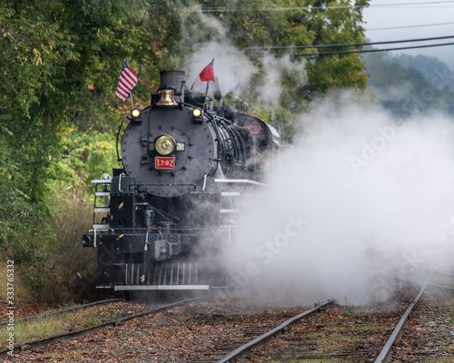 Steam Train in the South