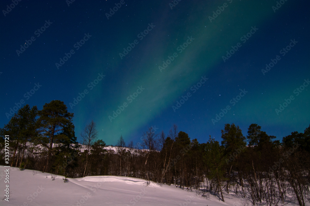 Polarlicht, Mattisvannet, Alta, Norwegen