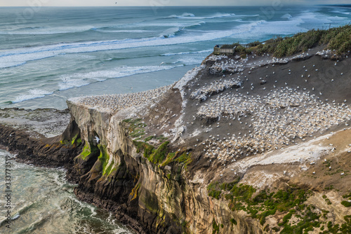 Cliffs and ocean on West Coast New Zealand