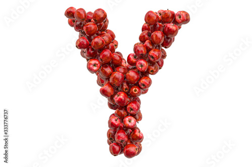 Letter Y from red apples, 3D rendering