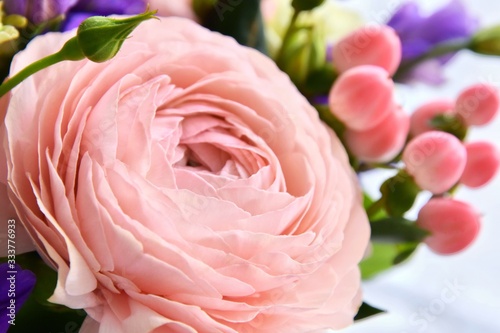 Beautiful pink ranunculus flower with soft focus violet spring flowers and pink decorative berries on background. Elegant bunch of spring flowers. Easter gift. Seasonal spring flowers