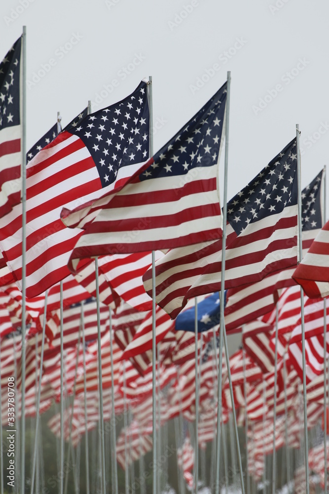 US Flaggen im Wind