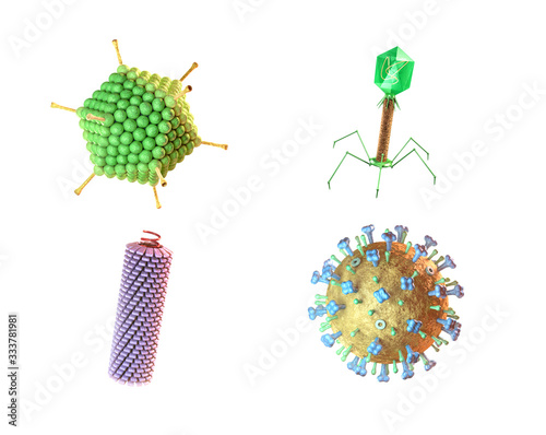 Different virus shapes photo