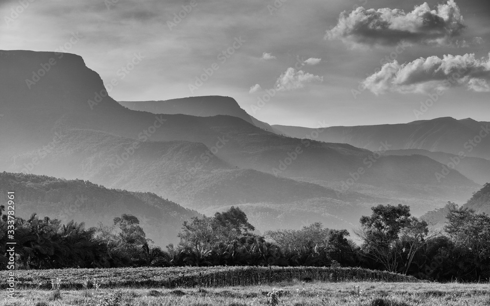 mountains in the fog