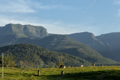landscape in the mountains