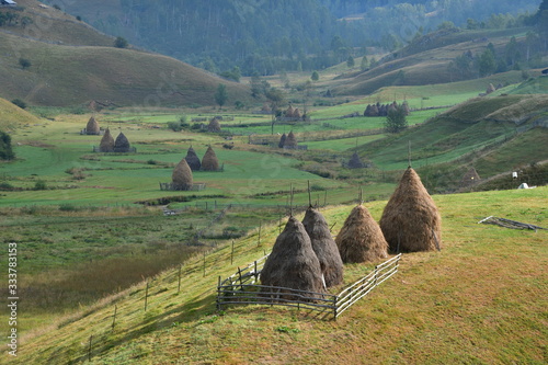 field in Romania, Fundătura Ponorului photo