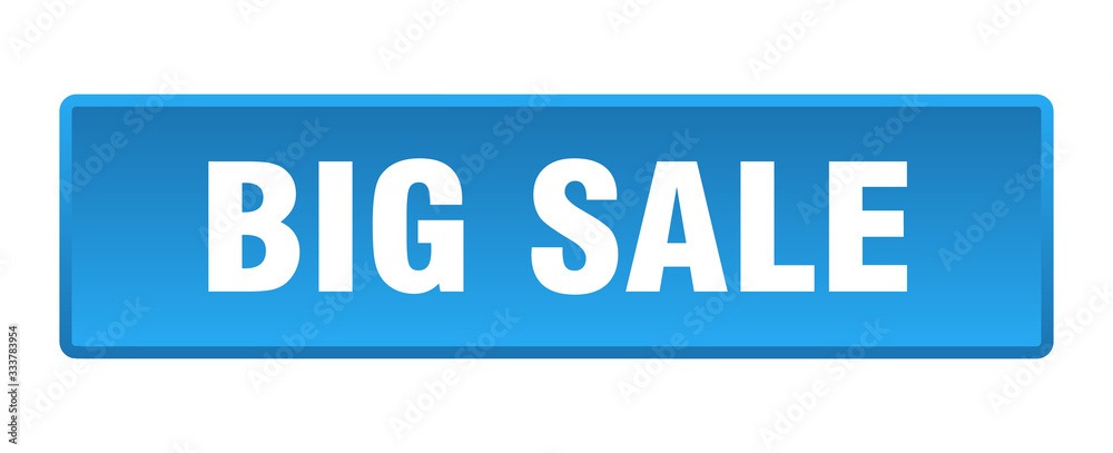 big sale button. big sale square blue push button