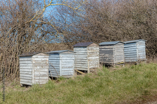 old dilapidated beehives on a row