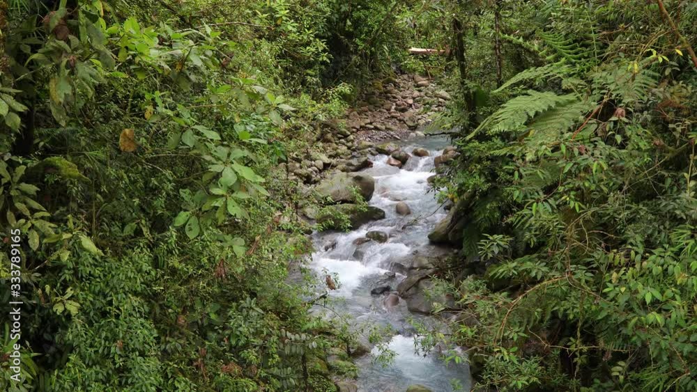 Beautiful small river in Costa Rica rainforest Beautiful small river in Costa Rica rainforest