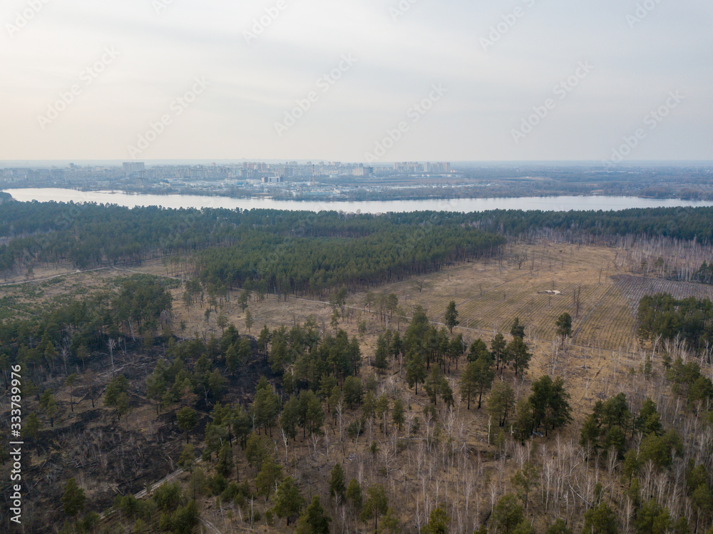 A lake near a coniferous forest on the outskirts of Kiev. Aerial drone view.