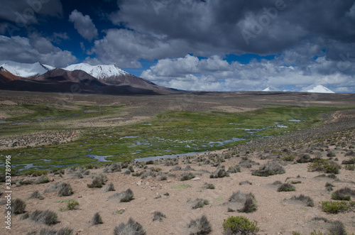 High plateau and mountains in Lauca National Park.