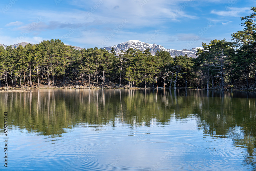 Bassa d´Oles lake with reflection in winter.