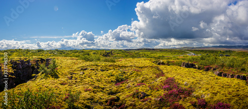 Panoramic view over beautiful summer landscape with ancient moss and tundra flowers at the Thingvallavatn lake in Iceland, summer, blue sky
