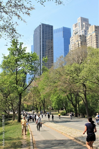 people in the park