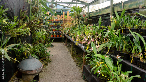 Jardin de Orquideas