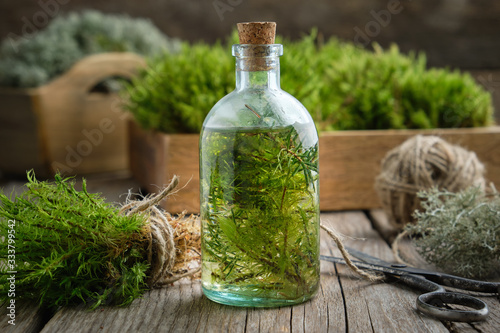 Healthy tincture of moss, lichen and juniper. Herbal medicine. photo