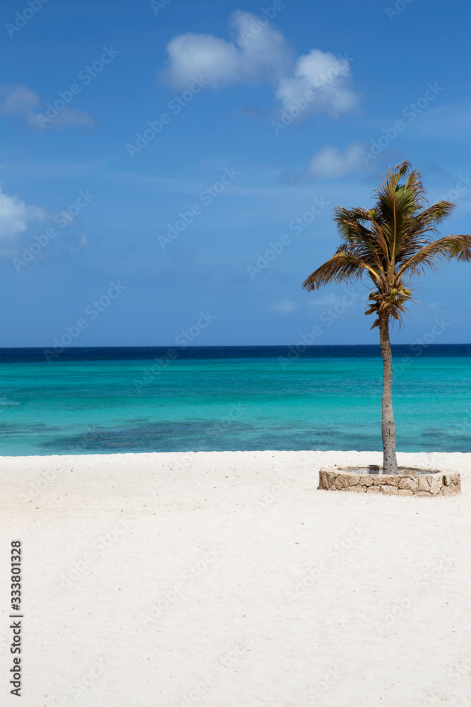 Beauriful Arashi Beach in Aruba