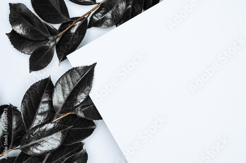 Black leaves on white background. Flat lay, top view, space.