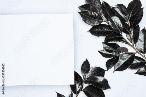 Black leaves on white background. Flat lay, top view, space.