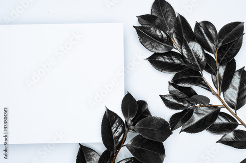Black leaves on white background. Flat lay, top view, space.
