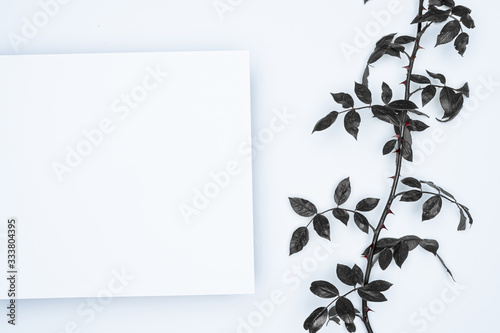Black leaves on white background. Flat lay, top view, space.