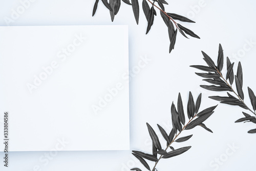Black leaves on white background. Flat lay, top view, space.