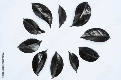 Black leaves on white background. Flat lay, top view, space.