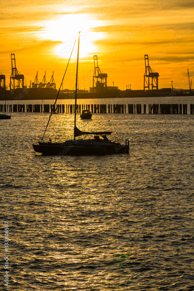 Fototapeta premium ニュージーランド オークランドの桟橋からの港の風景と夕日でオレンジに染まった空とヨット