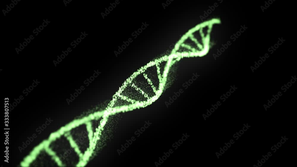 Matrix DNA