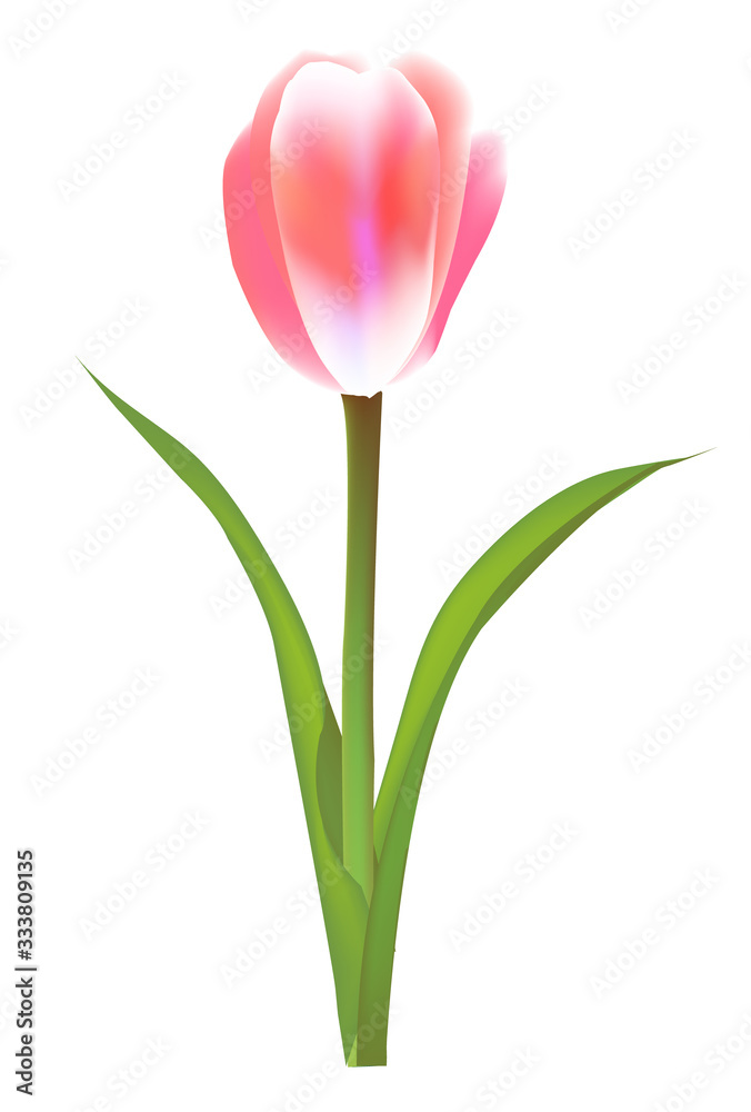 チューリップ 花 春 アイコン チューリップ 花 春 アイコン