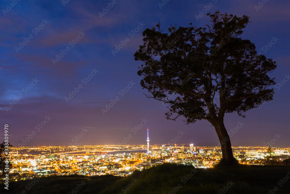ニュージーランド オークランドのマウント・エデンからの夜景とライトアップされたスカイタワー ニュージーランド オークランドのマウント・エデンからの夜景とライトアップされたスカイタワー