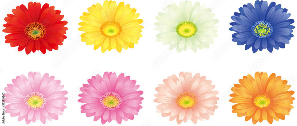 ガーベラ 花 アイコン Stock ベクター Adobe Stock ガーベラ 花 アイコン Stock ベクター Adobe Stock