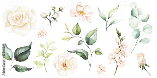 Fototapeta Watercolour floral illustration set
