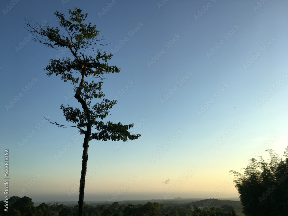 Paisaje , atardecer , árbol,  puesta del sol / landscape  ,  sunset . 