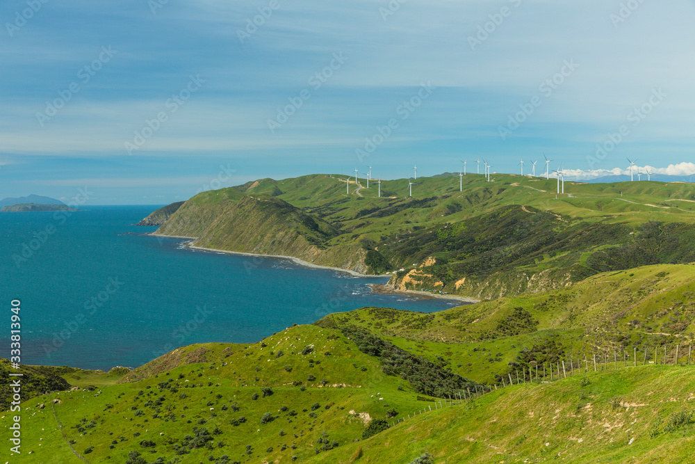 ニュージーランド　ウェリントン近郊のマカラの風力発電の風車