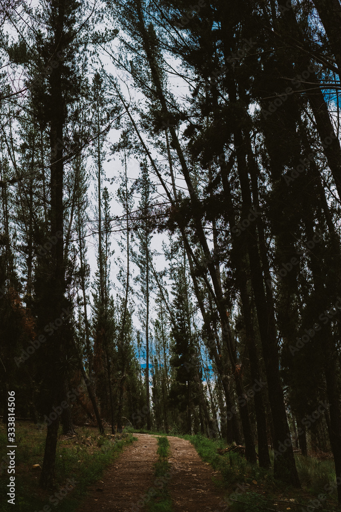 Obraz premium Editorial Huaraz 2019