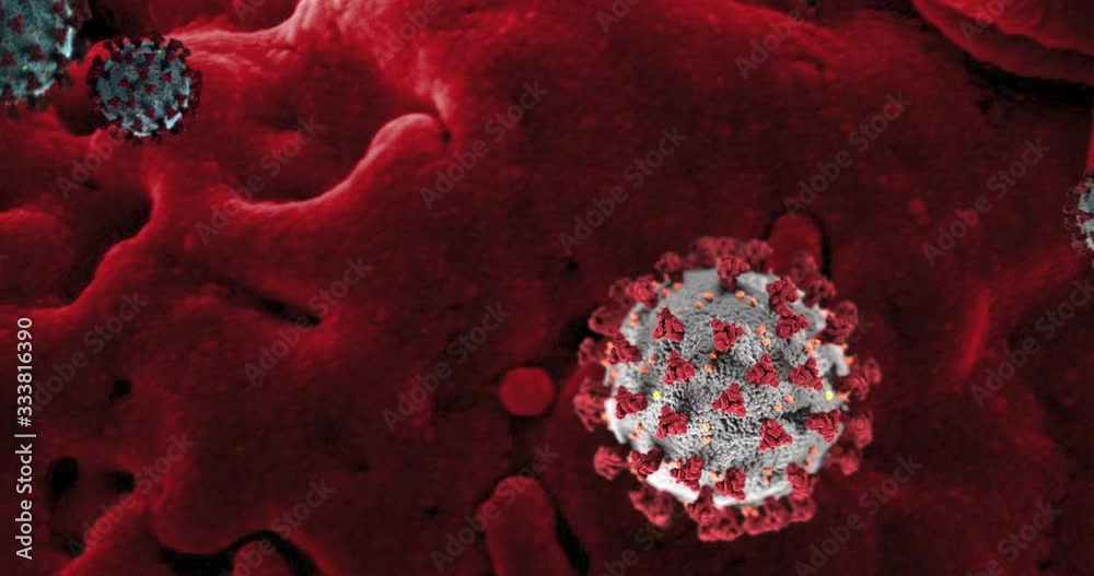 Coronavirus (Covid-19) virus inside blood vessels - medical animation.