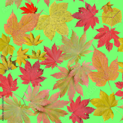 Different fall leaves. Seamless pattern.