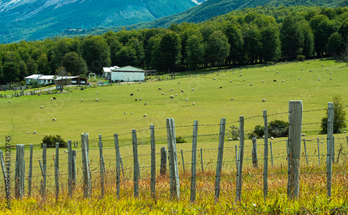 landscape with green fields and trees