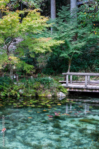 岐阜県のなもなき池