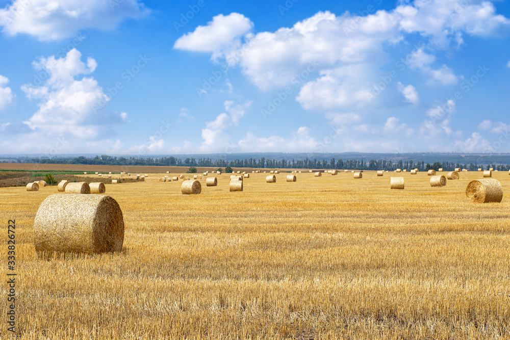 Hay bales with blue cloudy sky