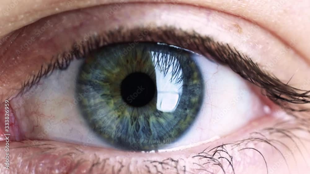 Close up macro shots of blue - green - yellowish eye reacting to light around it. Very detailed shots of the iris and pupil expanding shot with the Sony a7iii and 90mm 2.8 Sony macro lens.